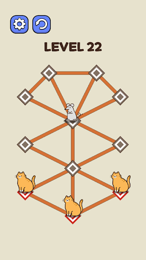 Cat Catch The Rat Thief