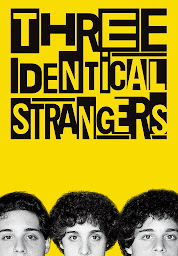 Icon image Three Identical Strangers