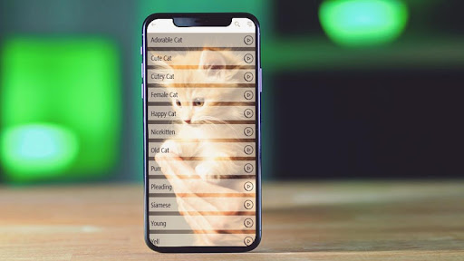 Android application Cat Sound screenshort