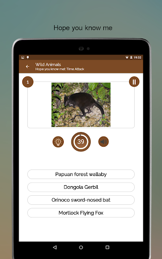 Screenshot of Wild Animals