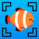 Fish Identifier Download on Windows