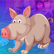 Kavi Escape Game 608 Pudgy Pig Escape Game