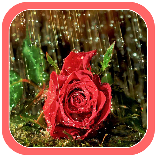 Beautiful Rain Wallpapers logo
