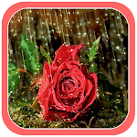 Cover Image of Download Beautiful Rain Wallpapers  APK