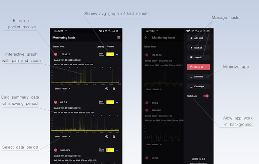xICMP Monitoring tool (old) Screen 3