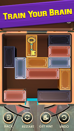 Unblock Puzzle: Slide Blocks - Screenshot 4