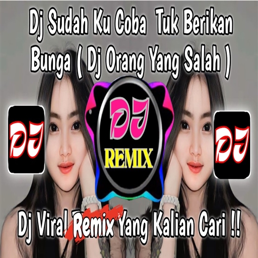 Dj Orang Yang Salah Viral - AppWisp.com