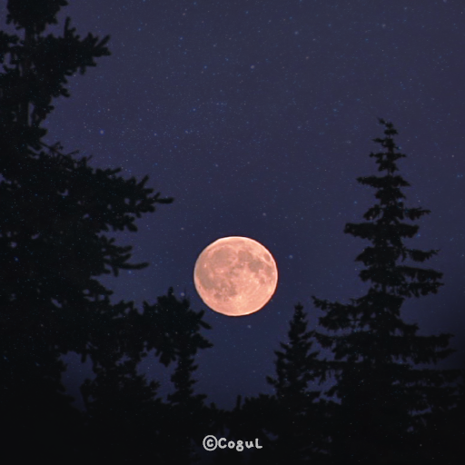 카카오톡 테마 - 밤하늘 달빛