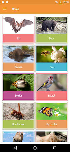 Animal Sounds Screen 2