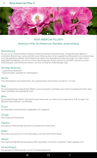 Hauenstein - Preisliste B2B