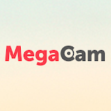 Megacam NVR icon