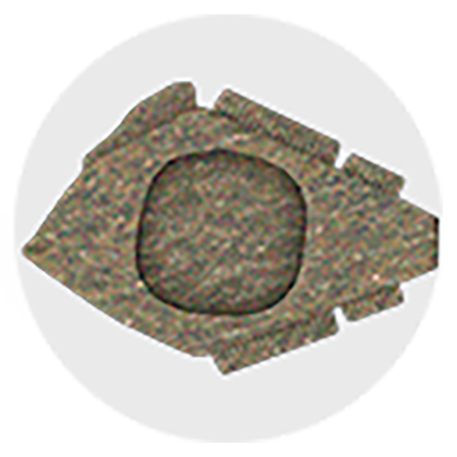 SAMBAQUIS - Low-Poly logo