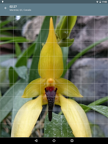 Captura de Pantalla 20 Rompecabezas: Flores android