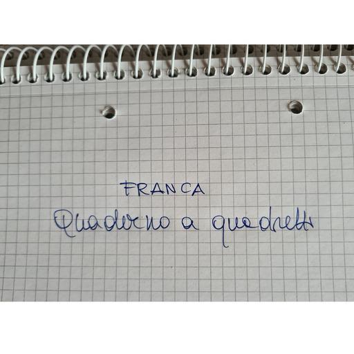 Franca Ferraro logo