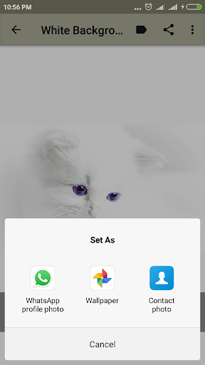 White Background by AlFajr Developer (Google Play, Japan 