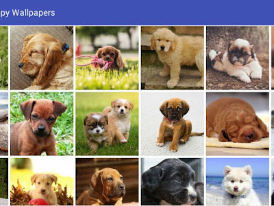 無料ダウンロード 子犬 壁紙 無料 659276