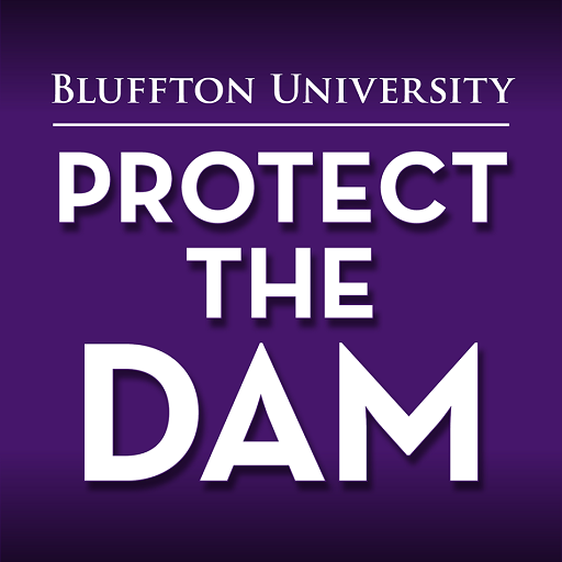 Protect the Dam 4.1.5 Icon