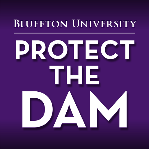 Protect the Dam