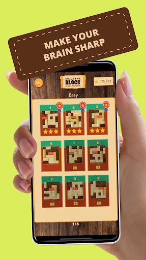 Sliding Block Puzzle: Unblock Screen 3