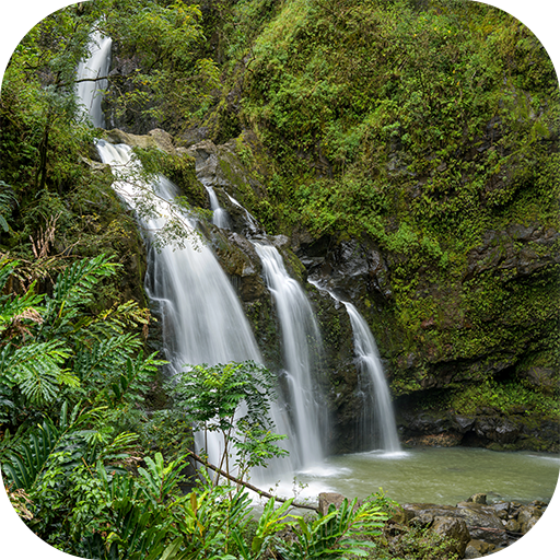 Tropical Waterfall Live Wallpa 7.0 Icon