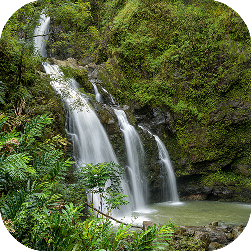 Tropical Waterfall Live Wallpa logo