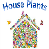 HousePlants(실내 정원용 식물) icon