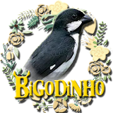 BIGODINHO CAMPEÃO icon