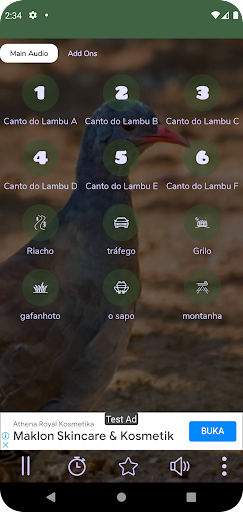 Android application Canto do Lambu 24 Hora screenshort
