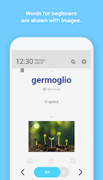 WordBit Italian (for English speakers)