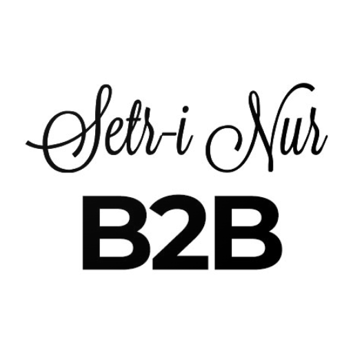 Setrinur B2B logo