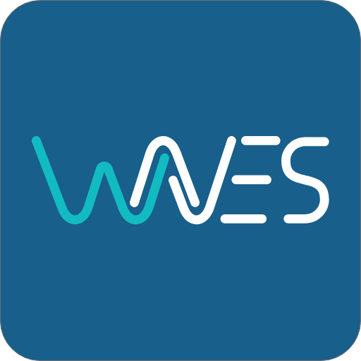 Waves 1.1 Icon