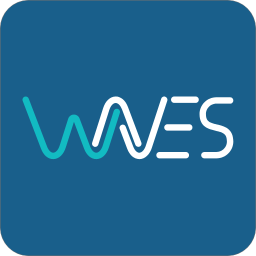 Waves  Icon