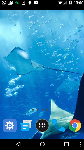 Android application manta ray wallpaper screenshort