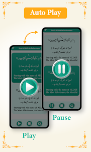 surah Al Mulk audio Offline