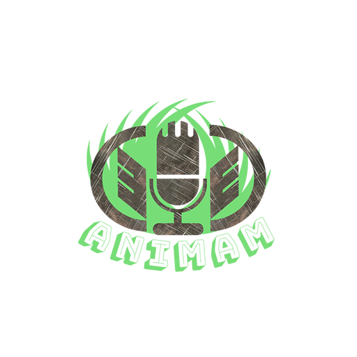 Anim Films Beta logo