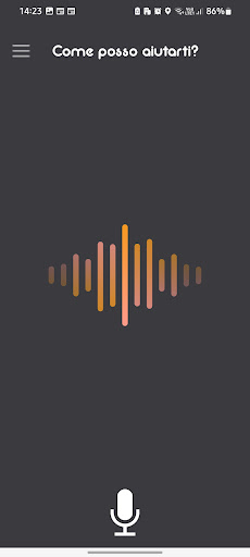 Mat Voice Assistant Copilot Screen 3