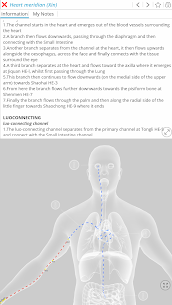 Visual Acupuncture 3D 2