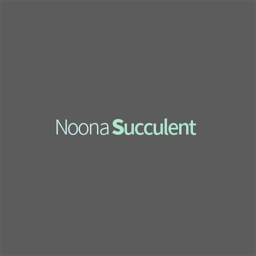 NOONA SUCCULENT logo