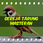 Cover Image of ダウンロード Kicau Gereja Tarung Masteran 1.8 APK