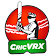 CricVRX - Virtual Cricket (BETA Version) icon
