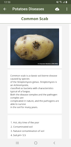 Logo https://play-lh.googleusercontent.com/YmHTIhvKSs8KOHLStZaOD3EkWD_FGDEC2XABfUtGfQbQjr2_0TmRya5O64FPX1juWQ