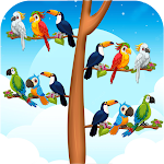 Cover Image of Descargar Bird Sort Color Match Games  APK