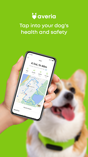 Android application Averia Collar screenshort