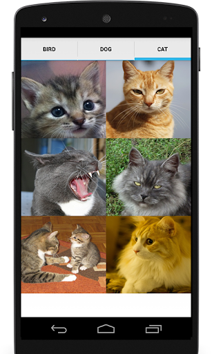 Animal Sounds (Bird,Dog,Cat) Screen 3