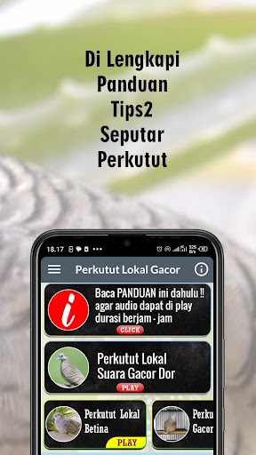 Suara Perkutut Lokal Gacor Dor Screen 3