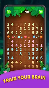 Number Match - Ten Pair Puzzle 14