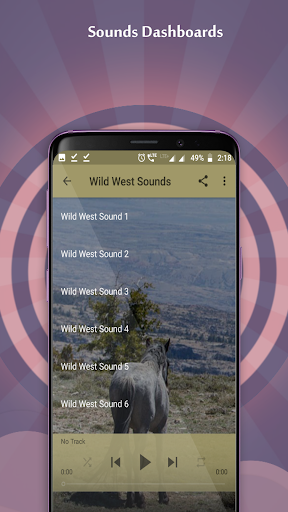 Wild West Sounds Screen 2