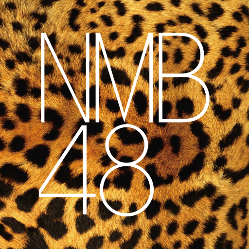 NMB48 Digital Gallery logo