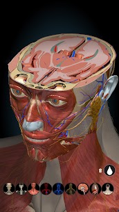 Anatomy Learning – 3D Anatomy MOD APK (Full Unlocked) 8