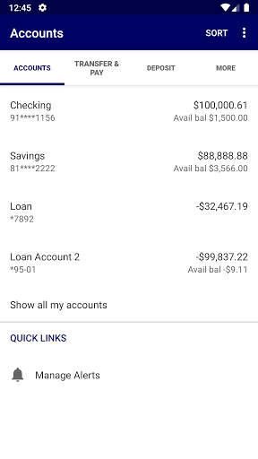 Blue Ridge Bank Screen 3